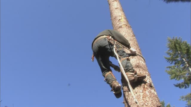 S01:E04 - The Big Hit