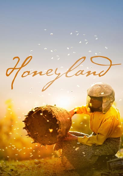 Honeyland
