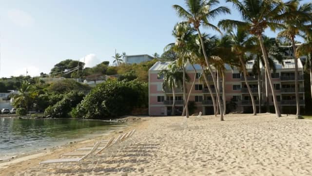 S03:E01 - First-Time Bargain Hunters