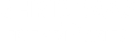 Christmas in the Friendly Skies