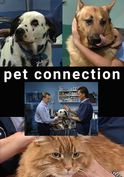 Pet Connection