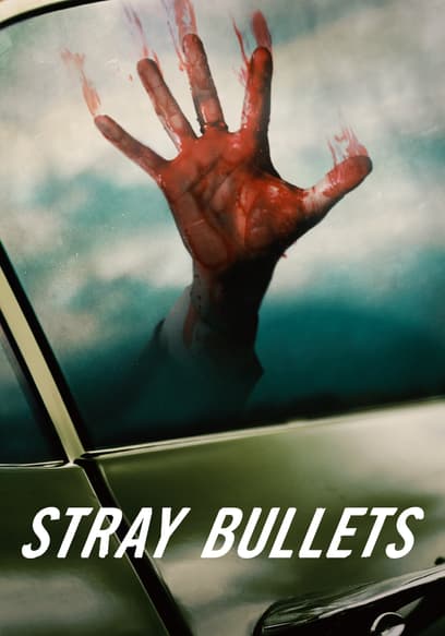 Stray Bullets