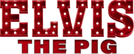 Elvis the Pig