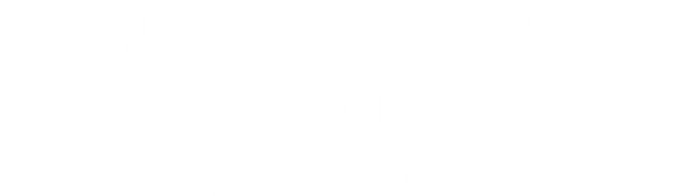 Morning Show Mysteries: Mortal Mishaps