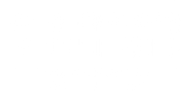 Bruce Springsteen - Wings for Wheels: The Making of Born to Run