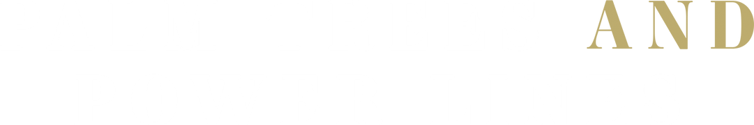 Palm Trees and Power Lines