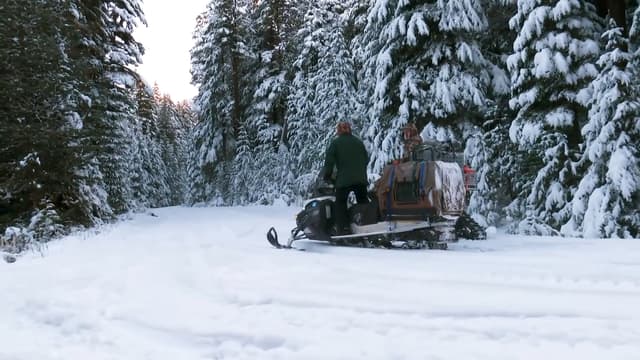 S07:E17 - Idaho Mountain Lion