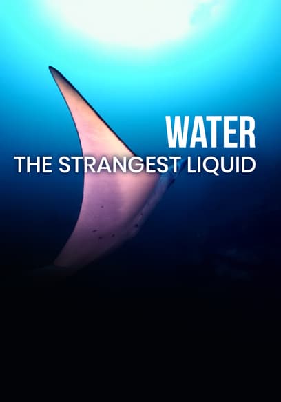 Water: The Strangest Liquid