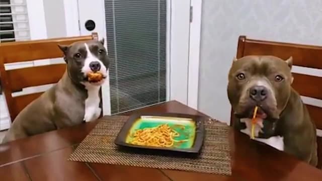 S01:E16 - Episode 16