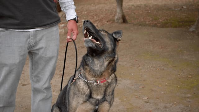 S01:E20 - Live to Serve