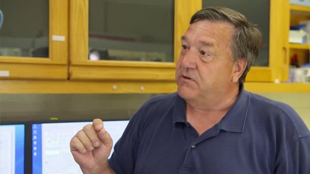 S03:E03 - Oyster Orgy