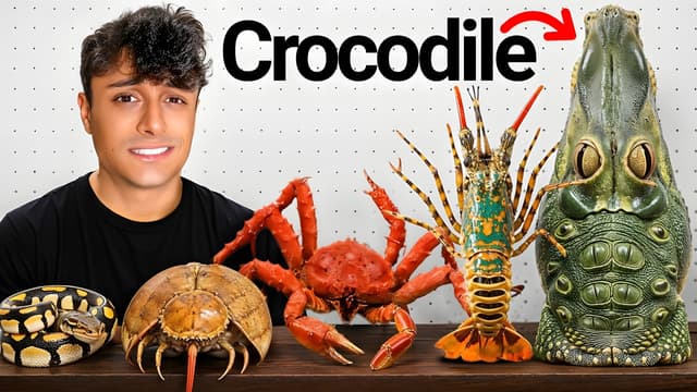 S01:E03 - Exotic Animals on a Plate