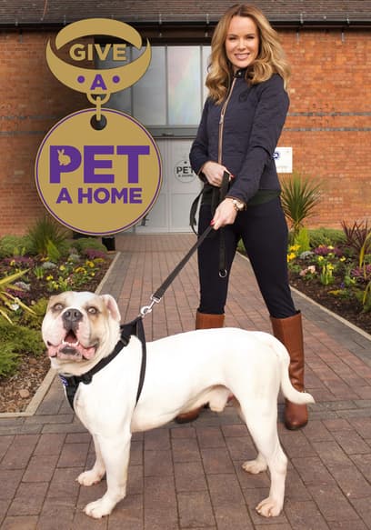 Give a Pet a Home poster