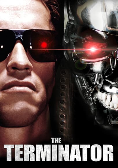 The Terminator (Español) poster