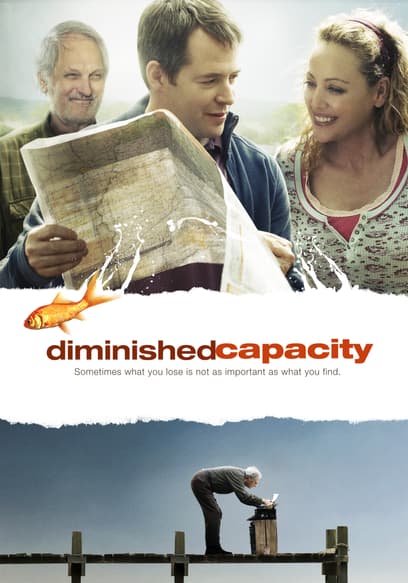 Diminished Capacity poster