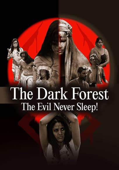 The Dark Forest: The Evil Never Sleep!