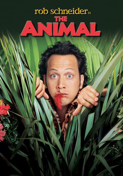 The Animal