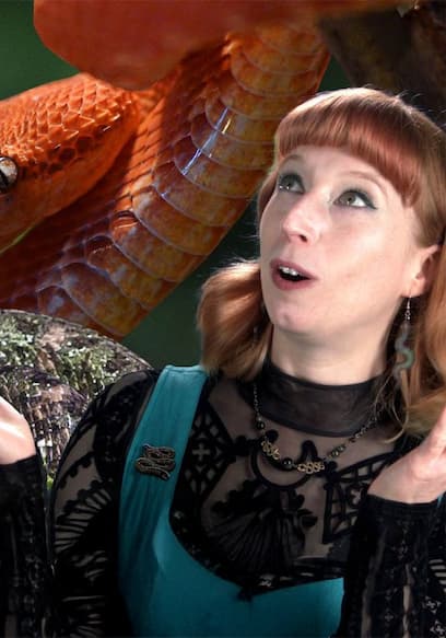 Watch Bizarre Beasts S01:E11 - Animals That Broke Science: From Sea ...