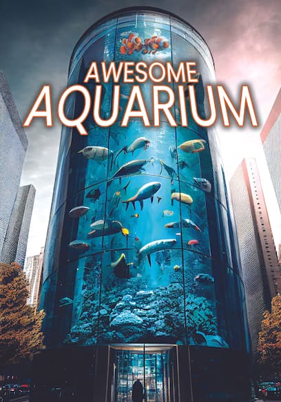 Awesome Aquarium