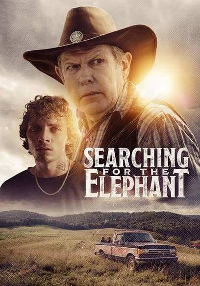 Searching for the Elephant