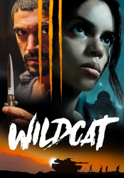 Wildcat
