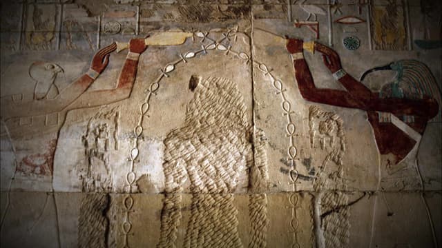 S06:E06 - Alien Operations