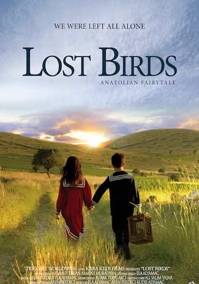 Lost Birds poster