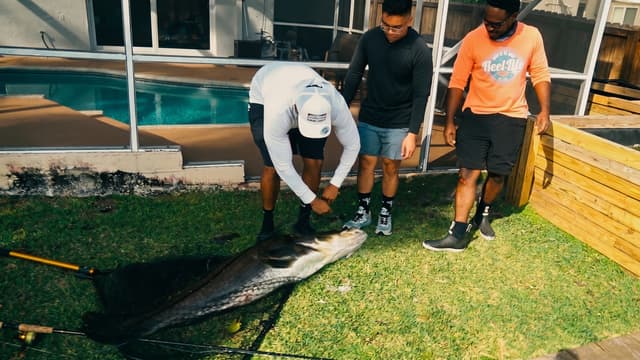 S01:E05 - Backyard Giant