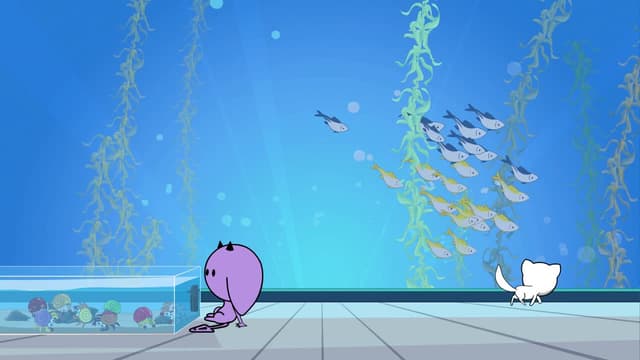 S01:E12 - The Aquarium