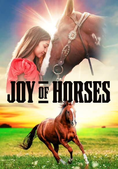 Joy of Horses