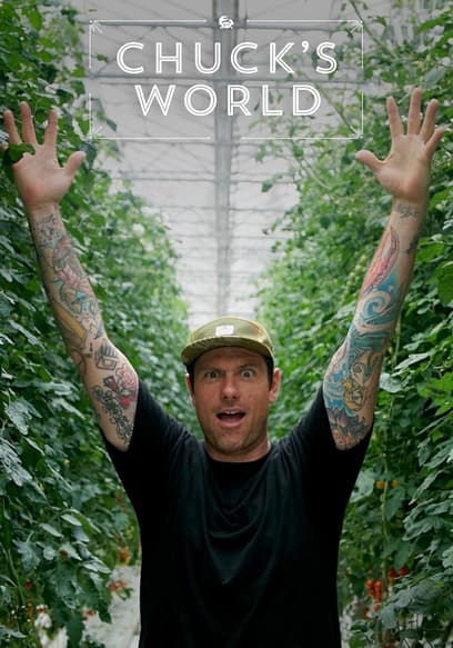 Chuck's World