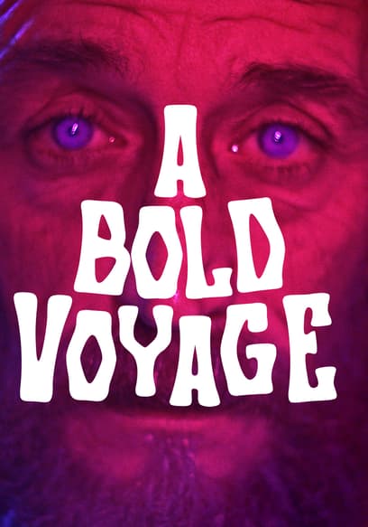 A Bold Voyage