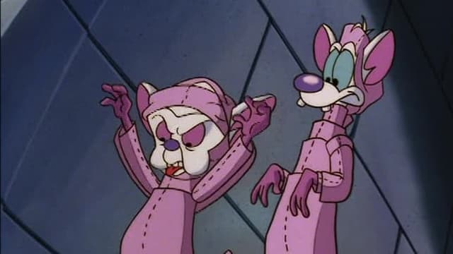 S02:E08 - The Mummy / Robin Brain