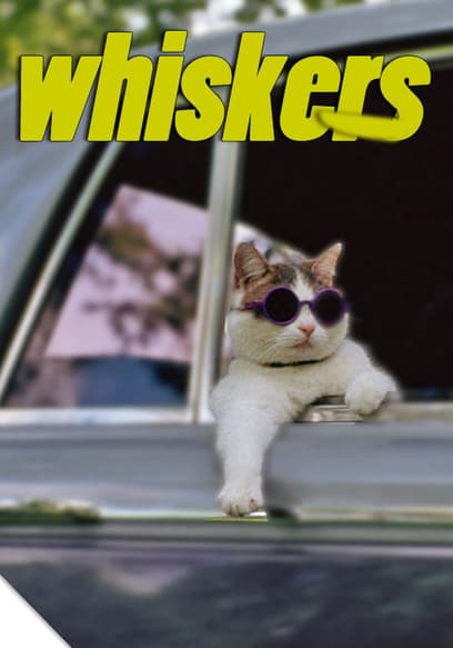 Whiskers