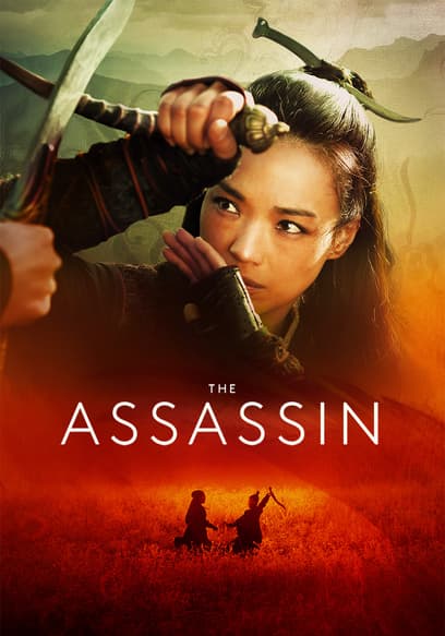 The Assassin