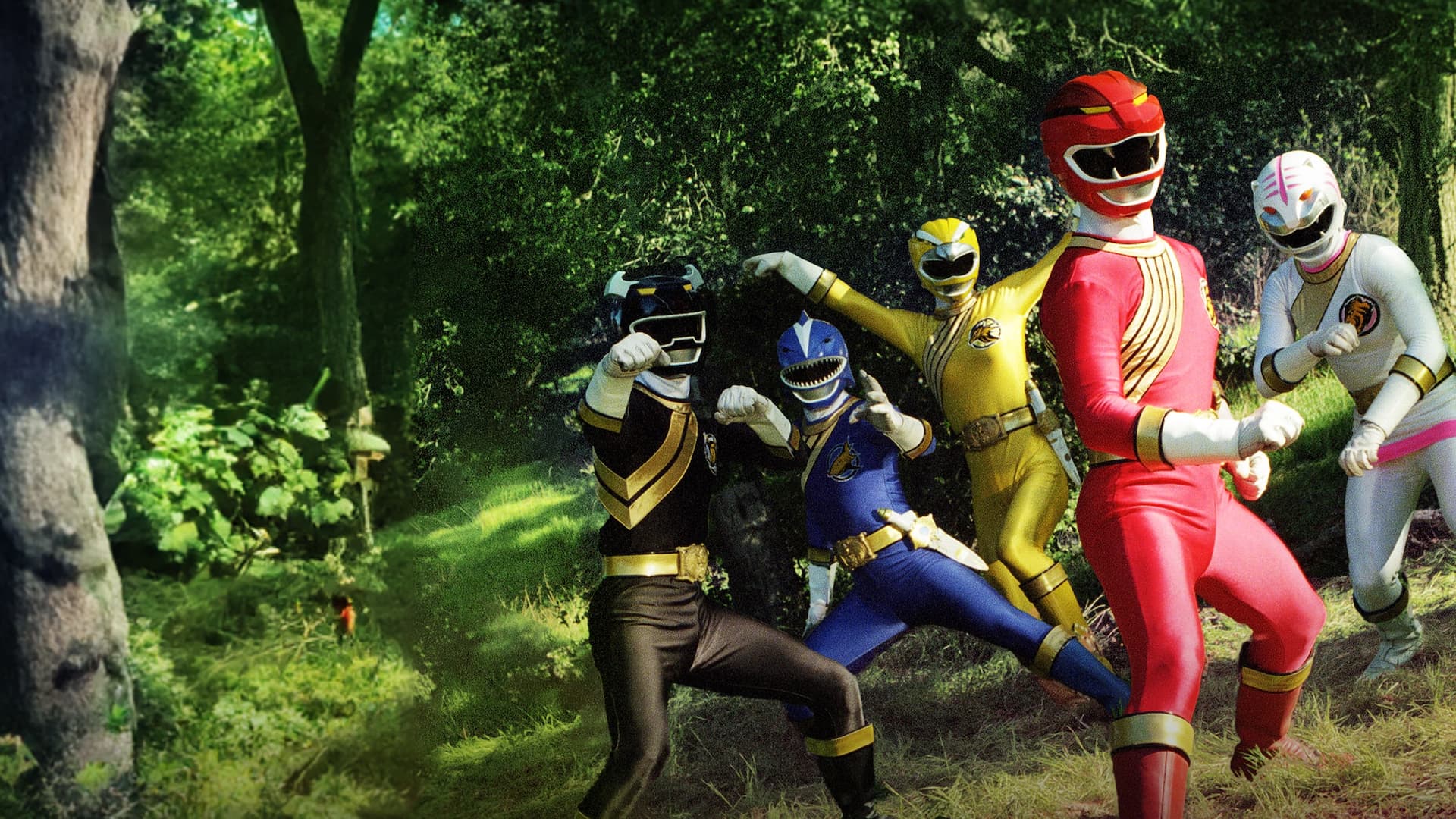 Watch Power Rangers Wild Force Streaming Online | Tubi Free TV