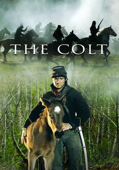 The Colt