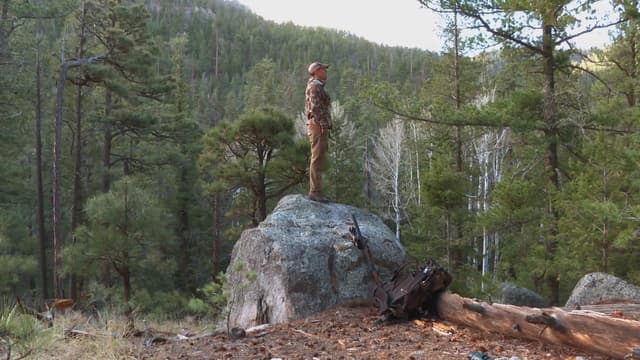 S06:E12 - Conservation History, New Mexico Turkey