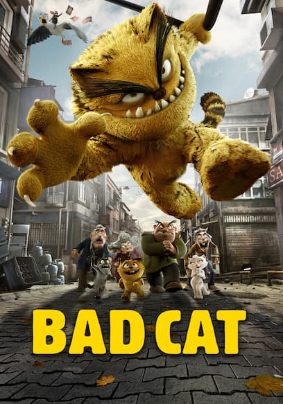 Bad Cat Trailer