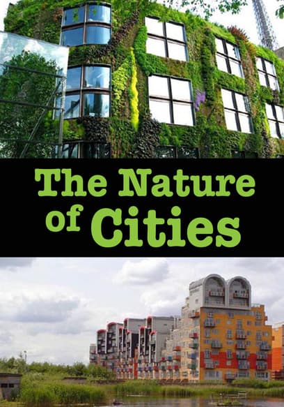 The Nature of Cities