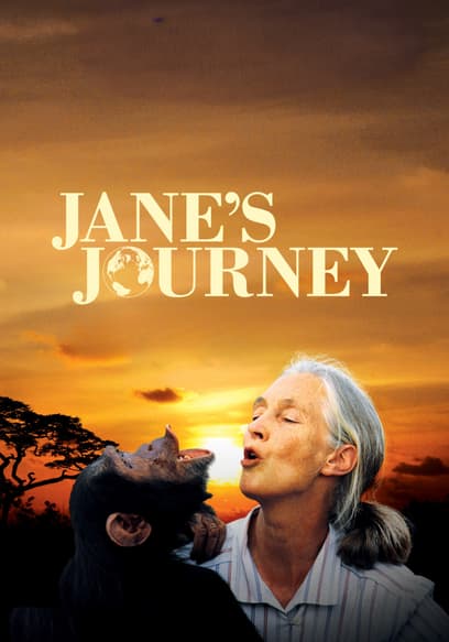 Jane's Journey