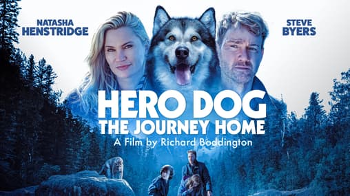 Watch Hero Dog: The Journey Home (2021) Free Movies Tubi