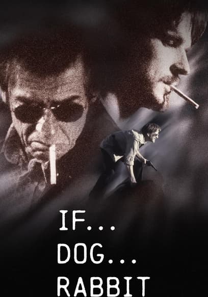 If... Dog... Rabbit