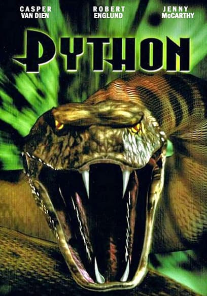 Python