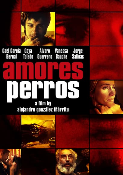 Amores Perros