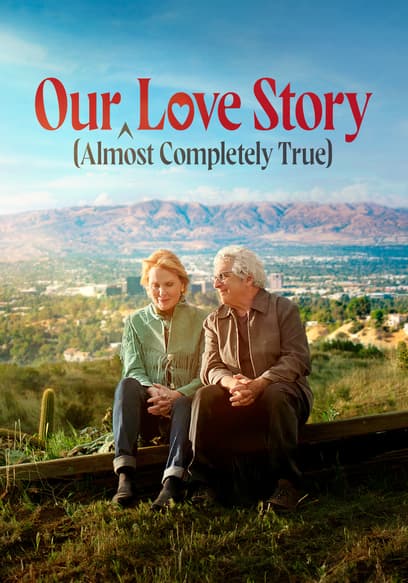 Our (Almost Completely True) Love Story