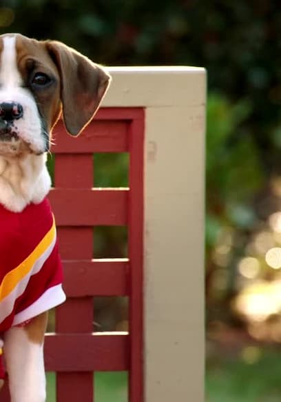 S02:E06 - Most Valuable Pup poster