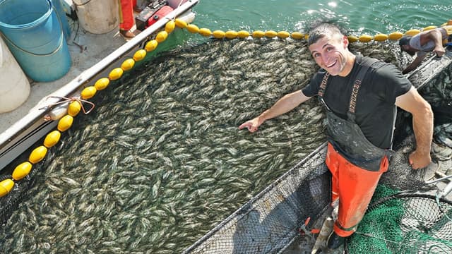 S01:E04 - This Could Save My Business $100,000 a Year