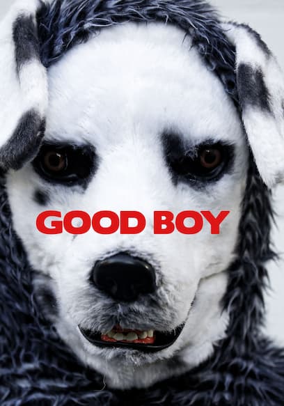 Good Boy