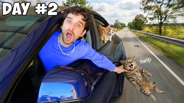 S01:E02 - Kittens in a Car: Italy Bound